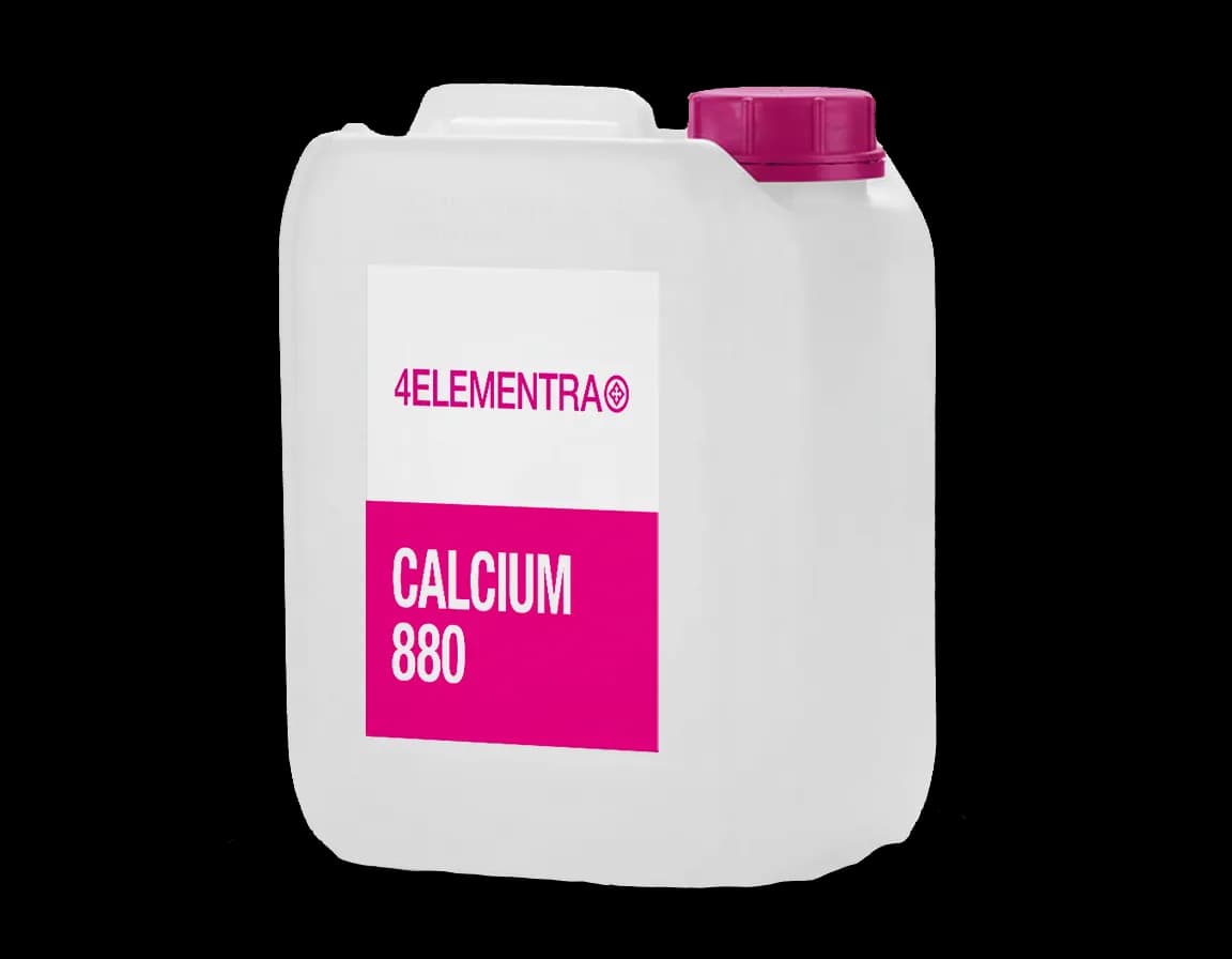 Kalzium 880