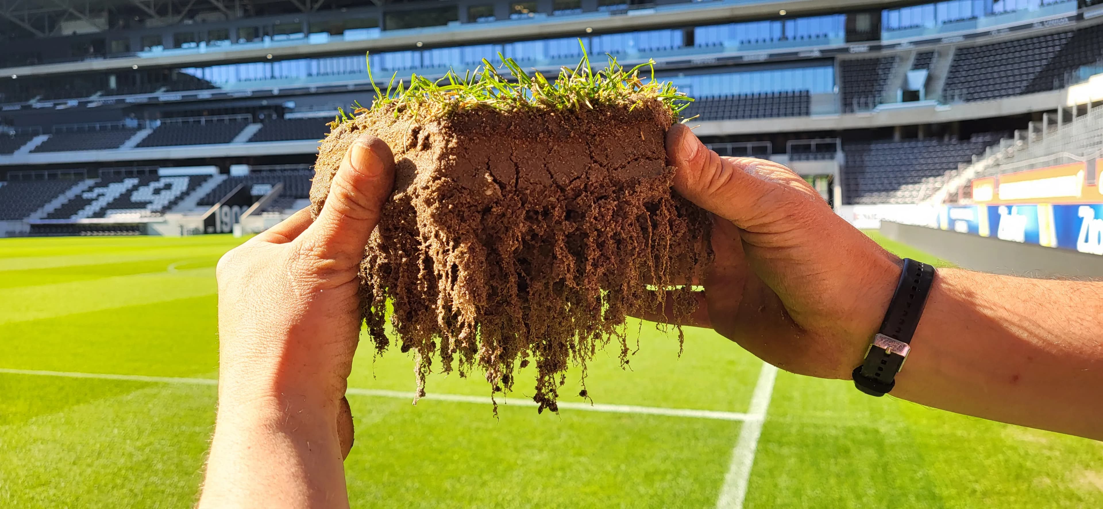 Professioneller Stadionrasen